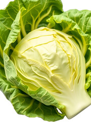 Obraz premium whole green cabbage isolated on white