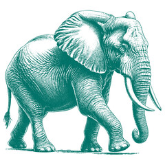 African Elephant Vector