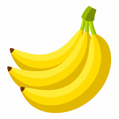 vector illustration of a banana