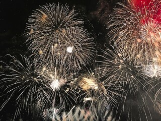 夜空に咲く花火