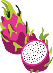 Dragon Fruit Vector Illustration Exotic Tropical Fruit Graphic Design Element Isolated on White Background
