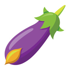 Eggplant rocket