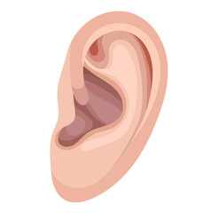 Single Human Ear Illustration Isolated on White Background
