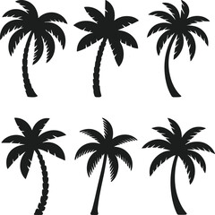 Fototapeta premium Set of Tropical Palm Tree Silhouettes - Beach Nature Vector Collection