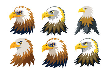 A collection of six vector illustrations of american bald eagle head portraits