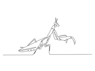 Wild Praying mantis in single outline illustration. Continuous line art drawing of mantis. Editable stroke.