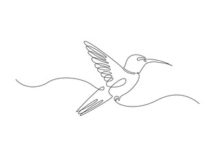 flying colibri or hummingbird in single outline illustration. Continuous line art drawing of hummingbird bird. Editable stroke.