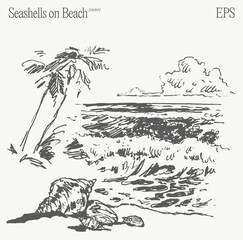 Seashells on the Beach A Serene Coastal Landscape Illustration Capturing Natures Tranquility