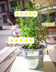 bubbles with 5-star ratings. Table in a sunny beer garden with rosemary plant as decoration. Symbol for location and restaurant ratings
