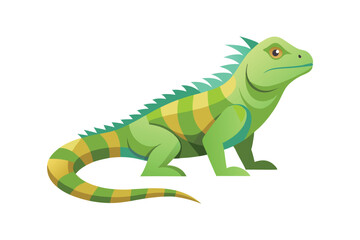 Fototapeta premium Iguana animal isolated on white background
