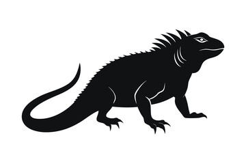 Fototapeta premium Iguana silhouette on white background