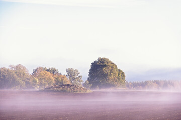 Field with low fog and a stone cairn in the countryside