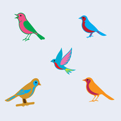  Colorful Birds Vector Set 