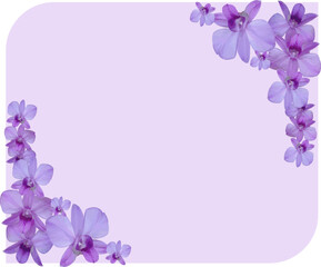 composition of empty space and vector image of purple violet orchid flower