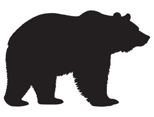 Fototapeta premium BEAR SILHOUETTE