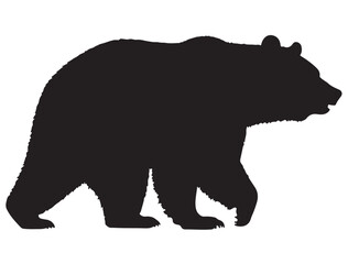 Fototapeta premium BEAR SILHOUETTE