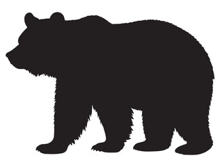 BEAR SILHOUETTE
