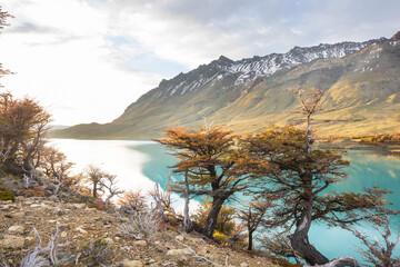 Autumn in Patagonia