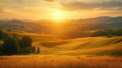 Fototapeta premium Golden Sunset Over Rolling Hills