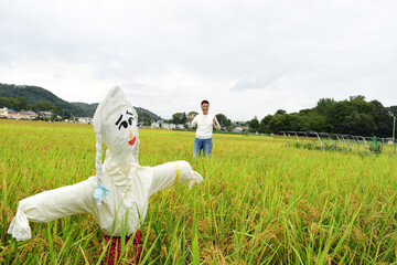 新米の豊作に喜ぶ生産者