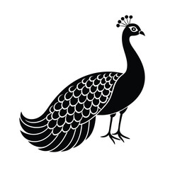 Fototapeta premium Peacock vector silhouette