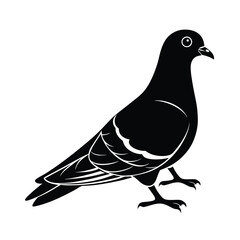 Pigeon vector silhouette