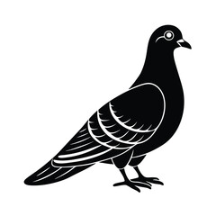 Pigeon vector silhouette