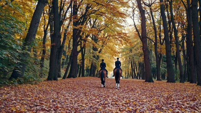 People horseback riding through autumn forest path covered in fallen leaves, scenic outdoor adventure, equestrian recreation, seasonal travel, healthy lifestyle, nature bonding, leisure activity, rela