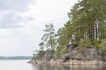 Forest-covered rocky outcrop extends into calm lake water, with pine trees growing along the edge...