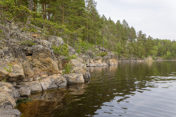 Pine forest grows along a rugged rocky shoreline, reflected in the smooth surface of a peaceful northern lake under soft daylight.