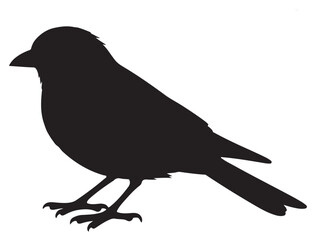 BIRD SILHOUETTE