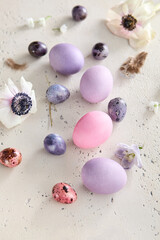 Easter eggs in pastel colors, bright toned, overhead composition on textured surface