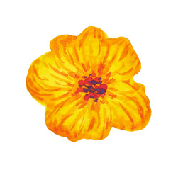 yellow orange flower japanese pattern vintage retro style nature floral blossom plant petal leaf icon logo sign symbol art design illustration watercolor painting white isolated background decoration
