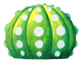 small Astrophytum Asterias tree tropical plant cactus succulent fresh desert green nature garden blooming flower art illustration watercolor painting design white isolated background natural summer