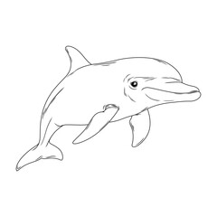 Dolphin.Coloring book antistress for children and adults.	