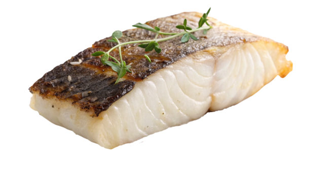 A baked fillet of fatty Black Cod Gindara fish with herbs isolated on white or transparent background