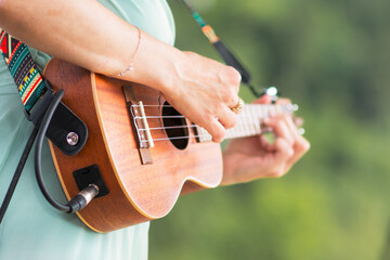 Detail of Ukulele player