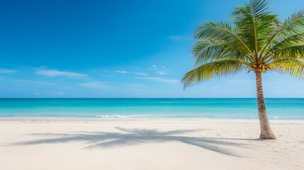 Serene Beach View with Palm Tree under Clear Blue Sky and Ocean
