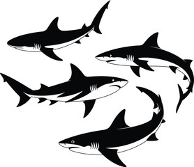 Obraz premium Shark silhouette vector illustration vector white background.