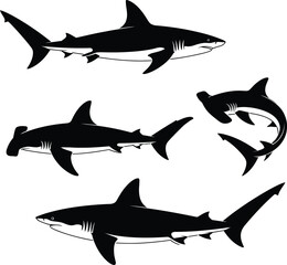 Naklejka premium Shark silhouette vector illustration vector white background.