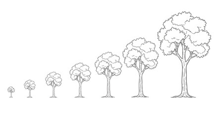 Series of small, hand-drawn sketch trees. Represents growth, nature, simplicity, or environmental themes. Artistic, minimalist, and natural.

