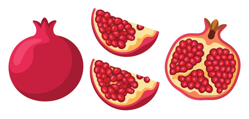 Whole Pomegranate and Slices Illustration
