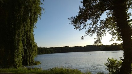 Baldeneysee Essen, trees around a lake