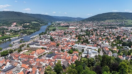 Miltenberg am Main