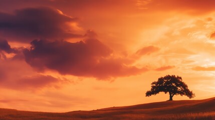 Majestic solitary tree silhouetted against a vibrant sunset in a serene landscape