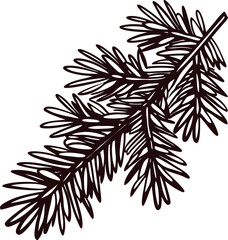 Detailed hand drawn spruce pine tree branch illustration with needles isolated on white background