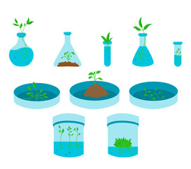 Vector illustration of various in vitro plants growing in glass test tubes, representing plant tissue culture, biotechnology, and micropropagation. Ideal for educational, scientific, and agricultural