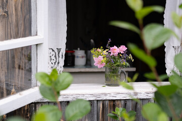 flowers in the window
