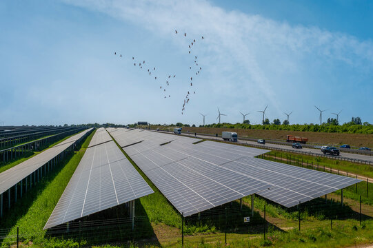 Solar field with panels and wind turbines near highway A44 with a flock of birds in the sky