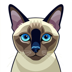 vector illustration of a cat Siamese